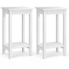 Set of 2 Versatile 2-Tier End Tables with Storage Shelf