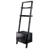 Bellamy 2-Drawer Leaning Shelf; Black